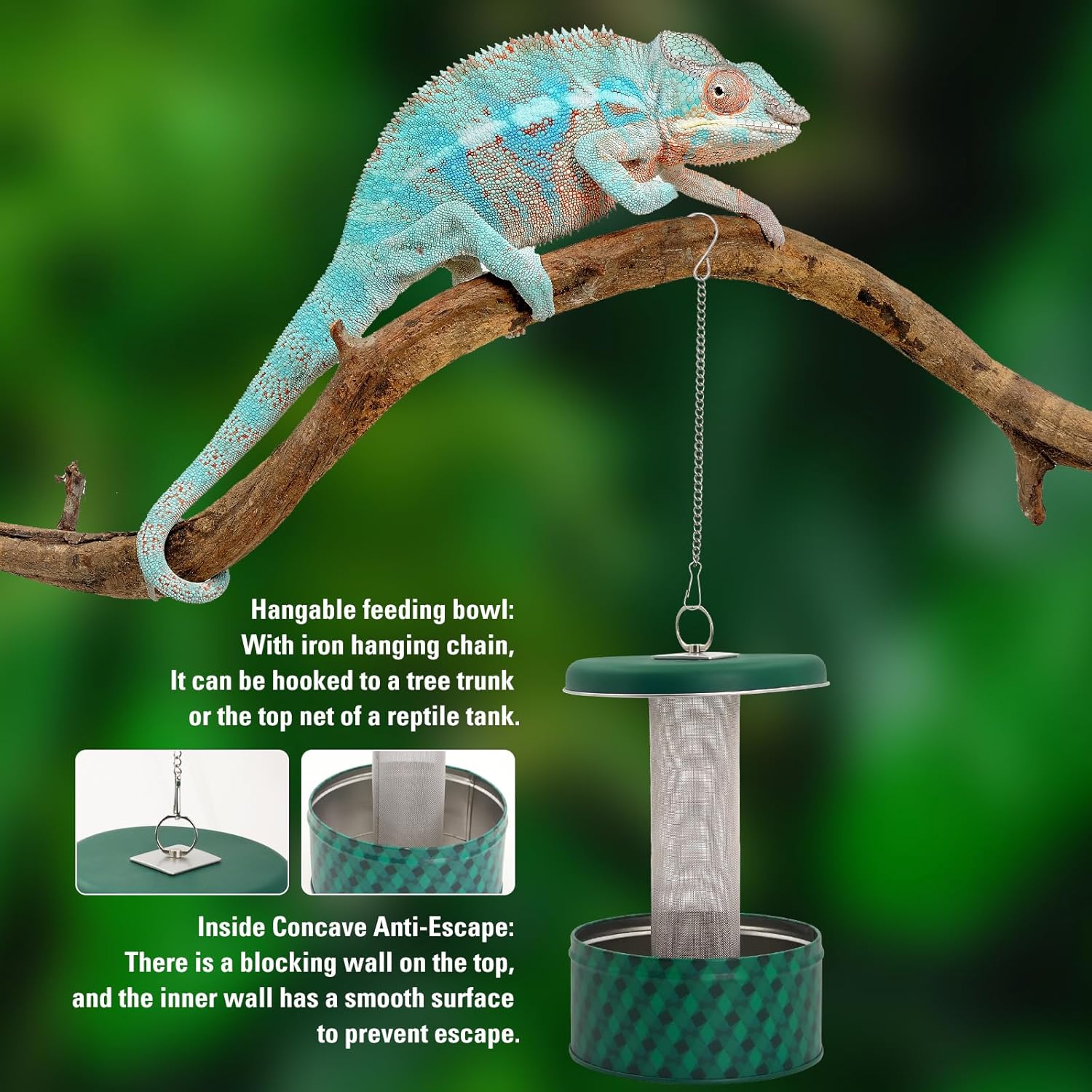 Кормушка для бородатого дракон – обзор и цена Water Dish Reptile