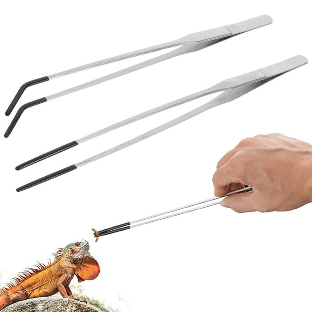 2 шт. пинцетов для кормления и – обзор и цена Feeding Tong Stainless