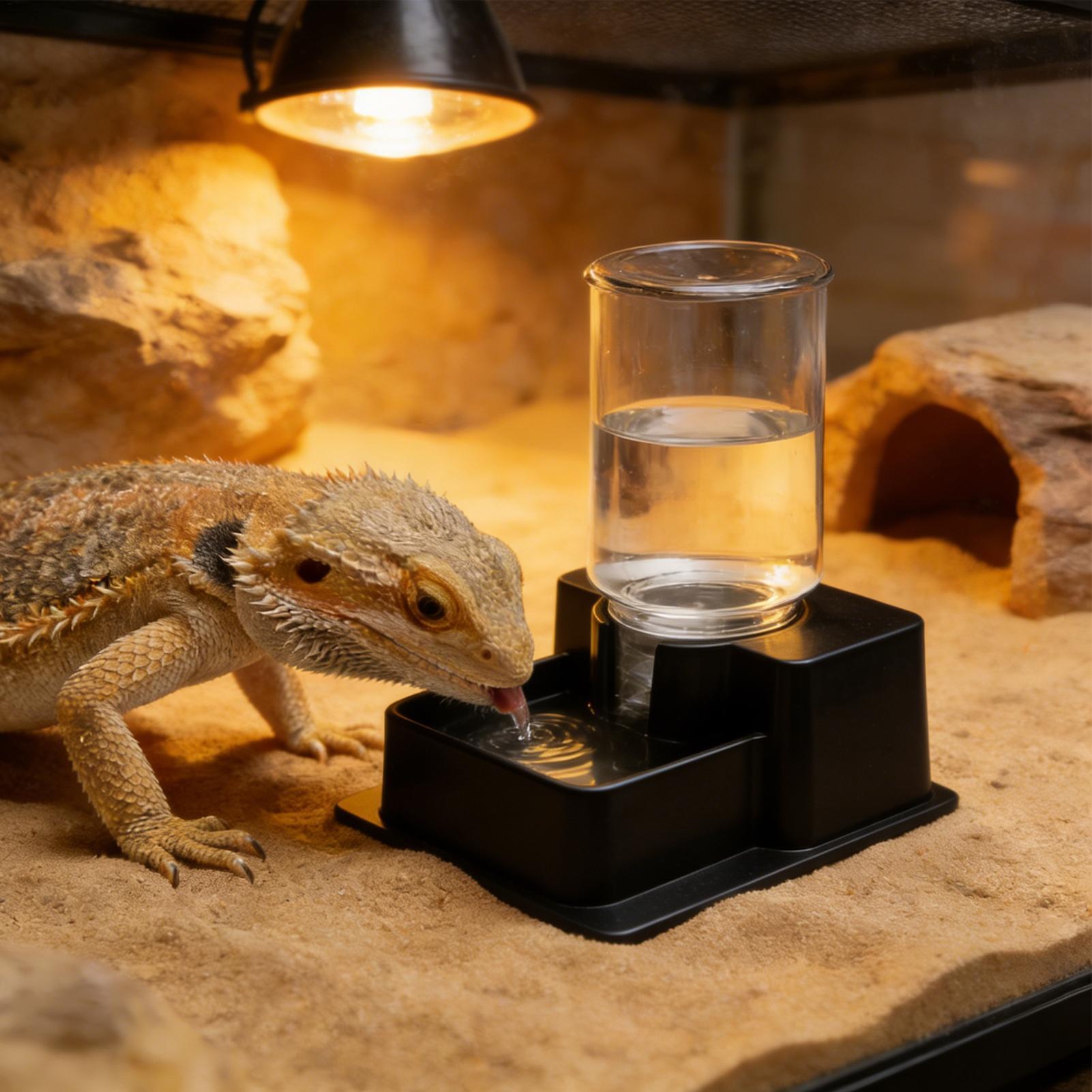 Автоматический фонтан-поилка д – обзор и цена Water Dish Reptile